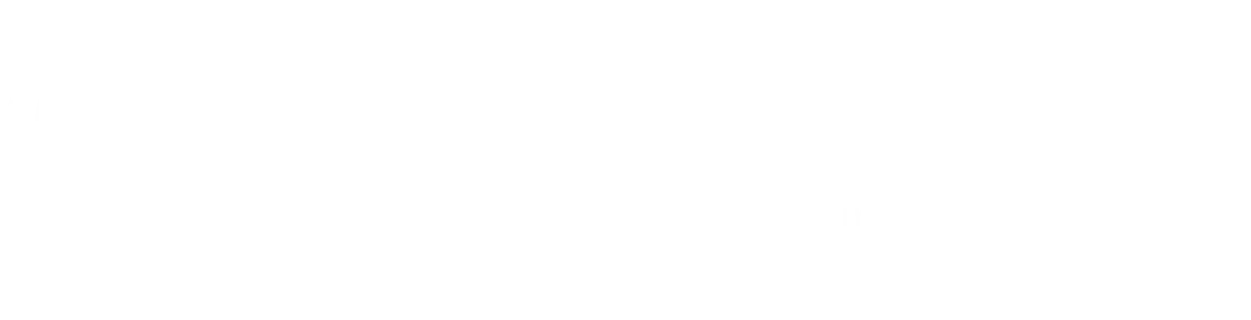 IDI GmbH Logo
